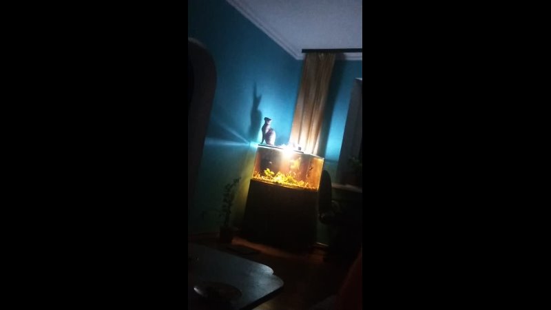 video порносексчастноелюбительское vid 20210502 001213 mp4 sex