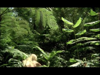 video сексуальный каннибал дьявольский охотник el caníbal devil hunter sex