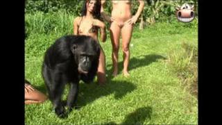 video monkey and brasilian girls sex