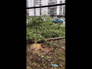 video ger吴梦梦到桃园过夜突然姊姊回来在厨房的姊姊一边对话一边猛干最后中出完还叫梦梦舔乾淨 vid 20210703 091600 mp4 sex