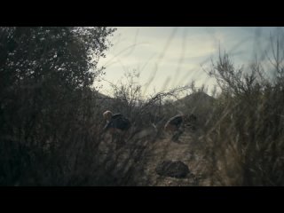 video малин акерман лоренца иззо птичья клетка malin akerman lorenza izzo the aviary 2022 sex