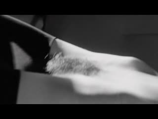 video фернанда торрес чужая земля fernanda torres terra estrangeira 1996 sex