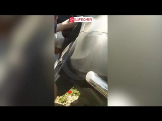 video в дагестане на трассе махачкала избербаш произошло ужасное дтп sex