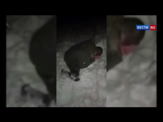 video воронежские охотники за головами отрезали палец закладчику за воровство молодые sex