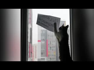video самоизоляция в озёрске 1 sex