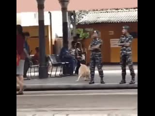 video сэр разрешите подурачиться sex