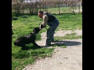 video вео юг мондоро эва 18 год 4 занятие очень старательная девочка sex