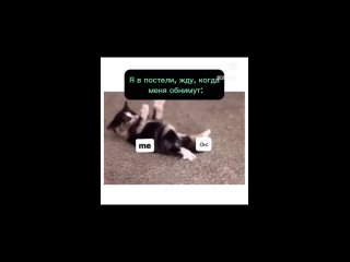 video рыбы рак и дева козерог sex