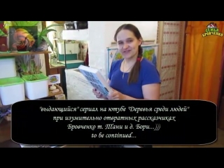 video бр изумительно отвратный рассказчик sex