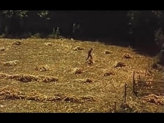 video onde bate o sol sex