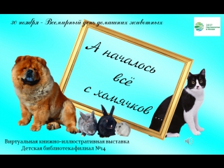 video а началось всё с хомячков sex