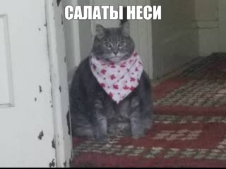 video иду доедать праздничные салатики sex