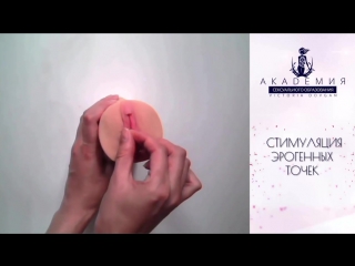 video сексуальное образование как удовлетворить женщину академия сексуального образования sex