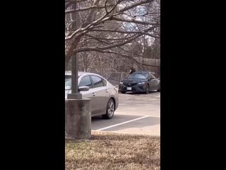 video побег заключенного в техасе сыворотка правды sex