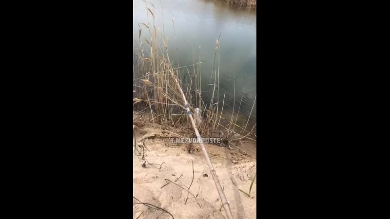 video 每天一起夜跑的天菜跑友竟然主動蹲下吹我充滿汗味的肉棒 vid 20220524 095843 579 mp4 sex