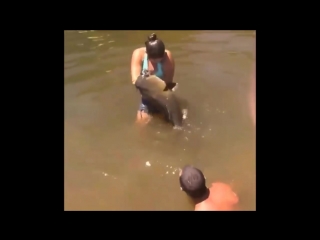 video девушка поймала гигантского сома голыми руками sex