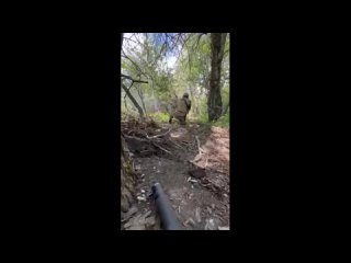 video бравада которая хорошо закончилась sex