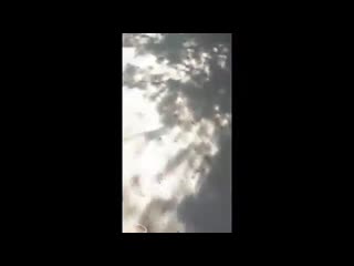 video в оккупированном севастополе пожилая женщина скончалась прямо на скамейке у больницы sex