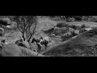 video 1956 люби меня нежно love me tender sex