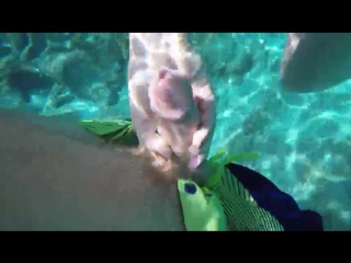video ruwhore подрочила под водой handjob underwater sex