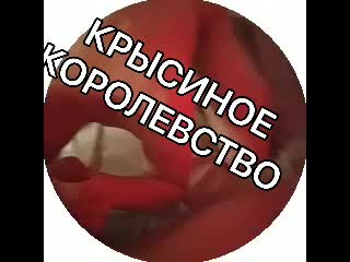 video андрей ноилс тиктокер гей трах 1 sex