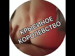 video андрей ноилс тиктокер гей трах 3 sex
