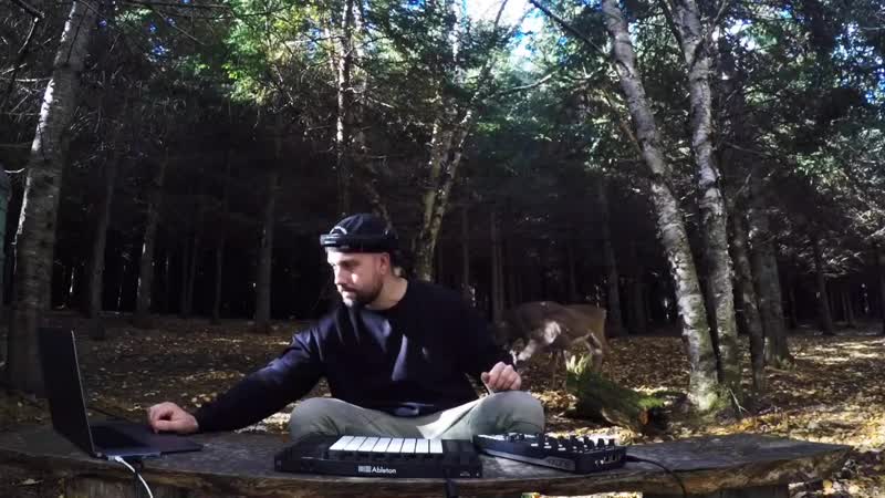 video monarke live from quebec canada sex