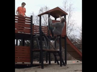 video хотел красиво спрыгнуть получилось некрасиво упасть sex