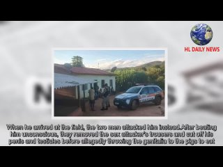 video man has penis and testicles cut off and fed to pigs by victims boyfriend in brazil sex