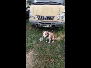 video 网曝门事件浙江师大外语系马晓晓与印度阿三男友流出没想到妹子外表斯文床上如此淫骚 vid 20210701 081114 mp4 sex