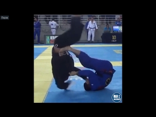 video bjj scout вот это баттерфлай свип ренато кардосо 2018 ibjjf vitoria open sex