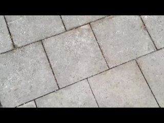 video сосет в электричке парню прямо на публике sex