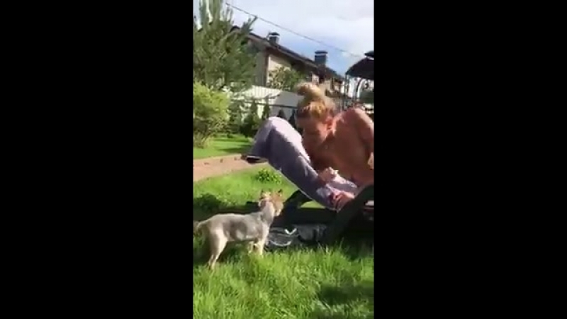 video afina kisser загарает голая с собачкой звезда порно модель sex