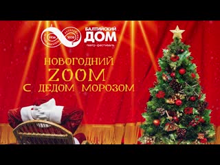 video zoom конференция с дедом морозом sex