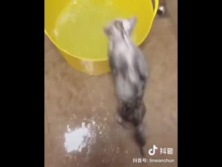 video любитель принимать ванну sex