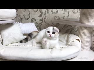 video kalani nimfa энергичная и забавная девочка sex