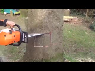 video правильное направление при падении ghfdbkmyjt yfghfdktybt ghb gfltybb ghfdbkmyjt yfghfdktybt ghb gfltybb sex