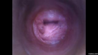 video live cam recording inside a vagina sex