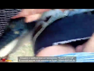 video т заключенную накончали полную напоил нарезка сильно прыгает члене наука начальницы брито полнол sex