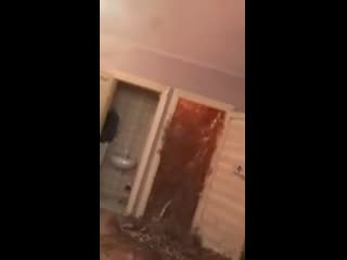 video опять ёбаный мамикс снимает свои эксперименты с кора ророй я в ахуе sex