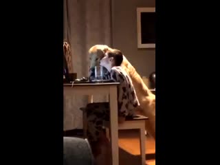 video мальчик с молодые sex