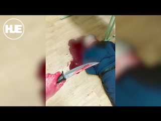 video студент столичного колледжа зарезал преподавателя и себя sex