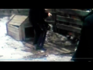 video в салехарде моральный отброс общества избил молодые арматурой sex