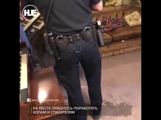 video в америке семейству людей на головы свалилось семейство енотов sex