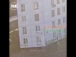 video в городе кингисепп мужчина вытолкнул сожительницу из окна sex