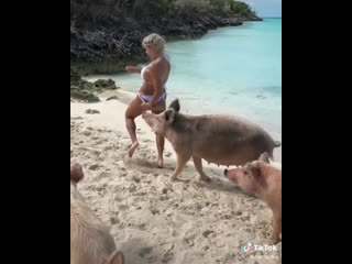 video девочку укусила свинья за жопу sex