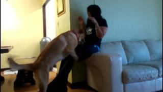 video asian girl dominated by horny dog sex
