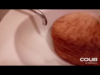 video универсальная заглушка для раковины sex