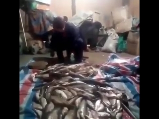 video что нормальные мужики на рыбалке делают sex