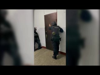 video при участии спецназа росгвардии задержаны подозреваемые в серии краж из подмосковных домов sex